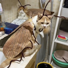 Funny Cockroach Costume