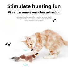 Electric Catnip Bird Toy