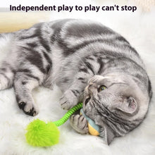 Interactive Fruit & Animal Cat Toy